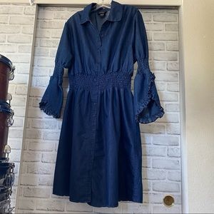 Eighty Eight Premium Ruffle Sleeve Denim Dress